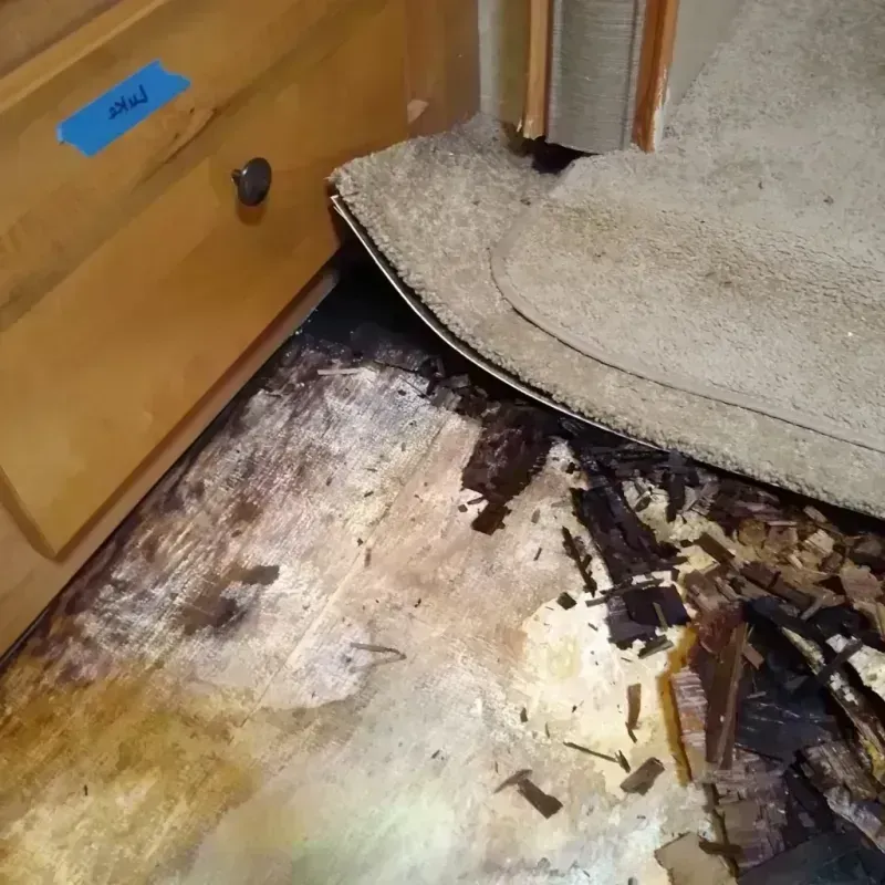 Best Wood Floor Water Damage Service in Shelby, MI